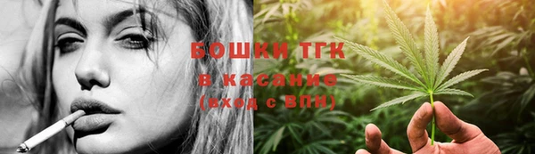 ПСИЛОЦИБИНОВЫЕ ГРИБЫ Вязьма