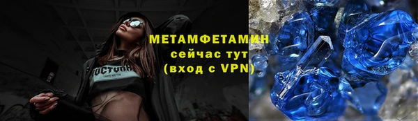 шишки Горняк