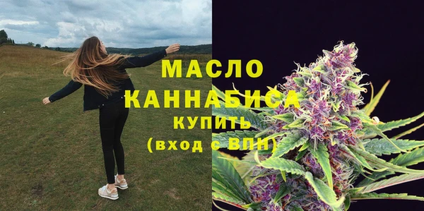 шишки Горняк