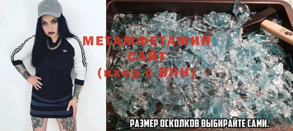 шишки Горняк