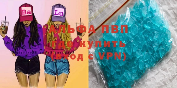 ПСИЛОЦИБИНОВЫЕ ГРИБЫ Вязьма