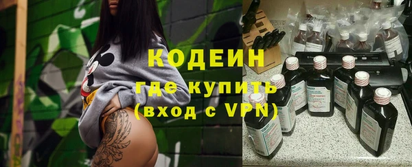 шишки Горняк