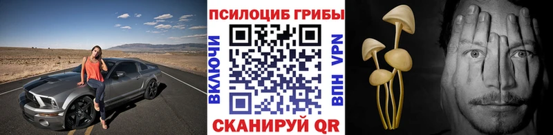 Галлюциногенные грибы Psilocybine cubensis  Купить где  Игарка 